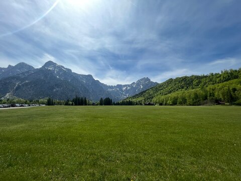 Almsee Ameisstein