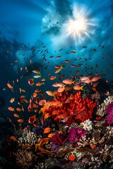 Breathtaking Underwater View of Vibrant Coral Reef Teeming with Diverse Tropical Marine Life