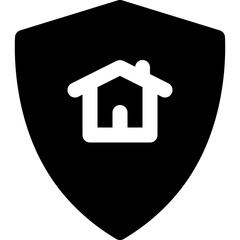 protection icon