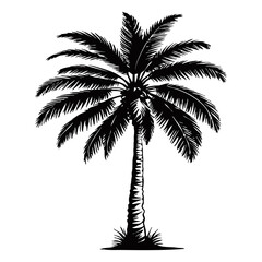 Illustration of a palm tree. Black tropical tree on a white background. Generated by Ai