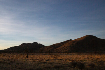 Fototapeta premium Dusk light on desert mountains with Joshua trees