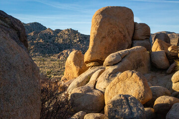 bBoulders and distant Joshua trees in sunlight