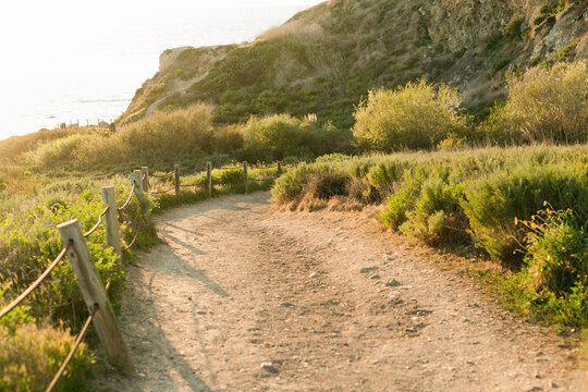 Sunlit coastal trail with wooden fences and greenery