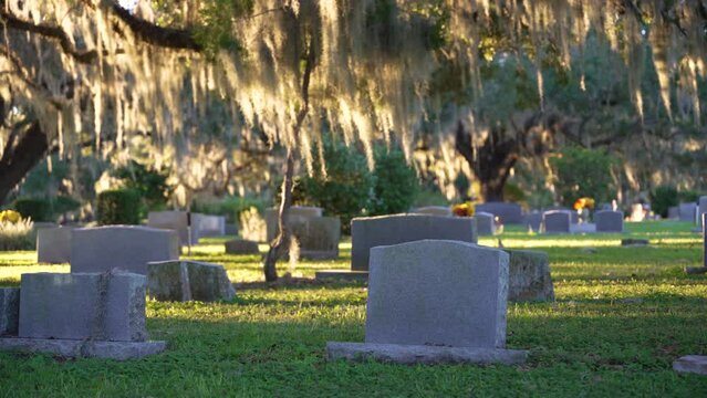 Old cemetery with grave stones under oak trees on green grass lawn in Orlando, Florida. Concept of death