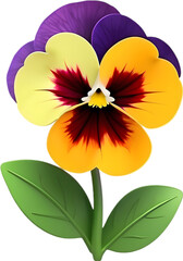 Smiling pansy with brightly contrasting petals. 