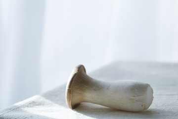 Fototapeta premium 窓辺のエリンギ