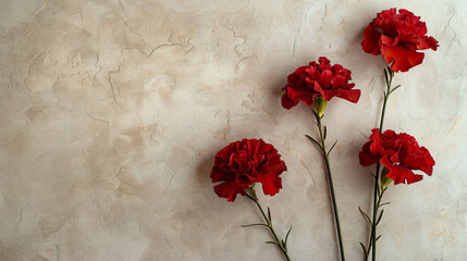 Red carnations on beige background