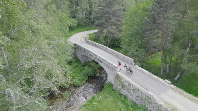 Man And Donkey Cross A Bridge over a River at Countryside Hiking Adventure - Aerial Drone Shot