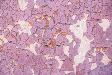 Old peeling paint background. Old flakes pink paint texture wall surface