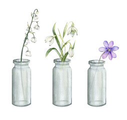 Watercolor flower arrangement with white bouquets of delicate lilies and snowdrops of the valley and delicate lilac scilla. Hand drawn first spring flowers in glass jar on isolated white background.