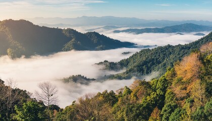 autumn season forest and nature landscape view of mountain background, natural scenery in morning time with fog over the hill; outdoor travel by hiking concept. Generative AI