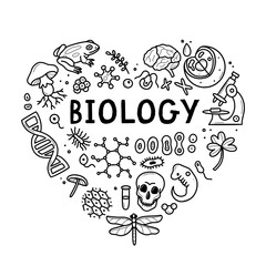 Biology doodle set. Collection of black and white hand drawn elements science biology heart shape. illustration isolated on a white background.