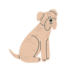 A shar pei breed dog isolated on the background. Cartoon character sitting dog.