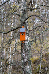 Bird house on tree trunk Kumla Sweden