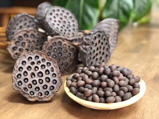 연꽃의 씨앗, 연꽃의 열매, 연자