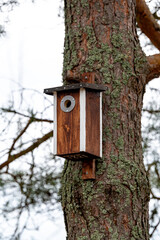 Bird house on tree trunk Kumla Sweden