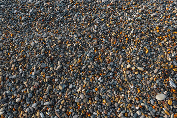 Coastal pebbles. Pebbles on the seashore in close-up. A rocky beach. Stones in close-up with a...