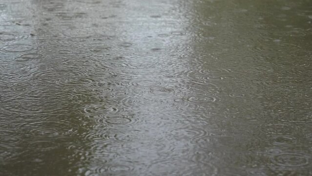 Rain drops falling on a puddle outdoors.