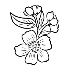 Free hand Sakura flower vector set, Beautiful line art Peach blossom isolate on white background.Cherry blossom illustration set.Element for weding card or printing on backdrop. 