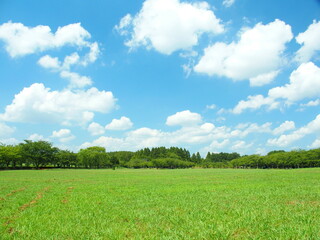 真夏の草原のあるみさと公園風景