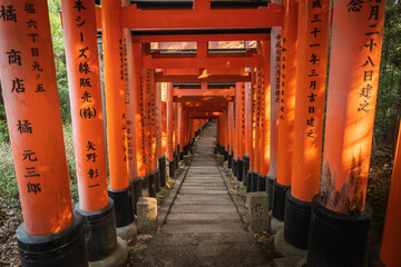 Fushimi inari shrine