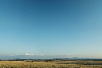 Obraz premium turbine in the field