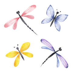 Set of butterfly, dragonfly, watercolor hand drawing. Insect illustration.