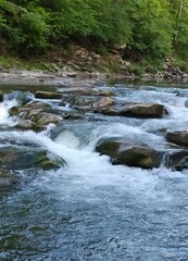 Naklejka premium Mountain river Prut in Yaremche, Ivano-Frankivsk region, Ukraine