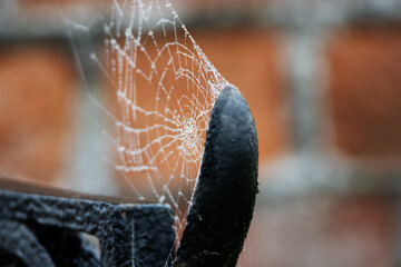 spiders web on a black painted iron railing