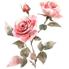 watercolor vintage rose flower arrangement