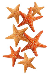 Levitation of starfishes isolated on transparent background.