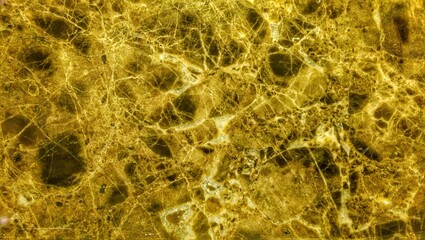 the abstract colorful background texture