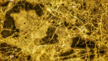 the abstract colorful background texture