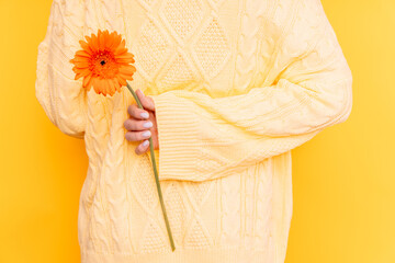 Girl holding a beautiful flower behind her back against a yellow background.