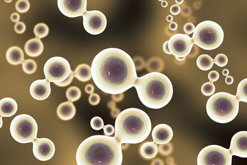 Cells with nucleus on scientific background. 3d illustration