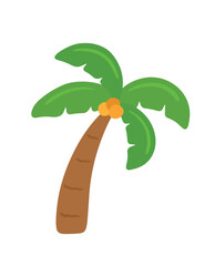 Palm and Coconut Tree Icon Doodle Vector Illustration for Summer Element Decoration