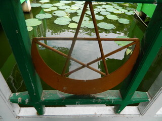 Image of a water pond with lotus plants above it. The pool has a beautiful view with shadows of objects and plants on the water