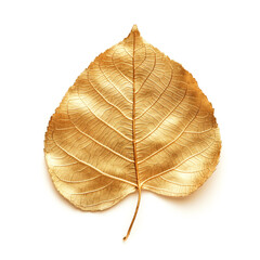 Gold aspen leaf with shadow isolated on white background