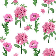 Poppy and rhododendron on a white background.