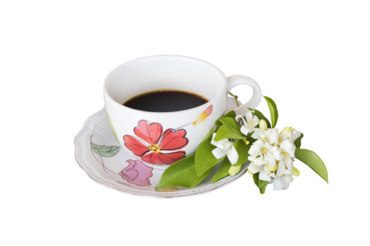 hot coffee espresso with white flowers jasmine arrangement flat lay style 