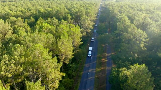 A drone following vans driving through pine trees forest