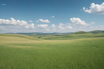 Obraz premium field and blue sky