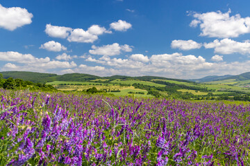 Spring landscape in White Carpathians, Southern Moravia, Czech Republic