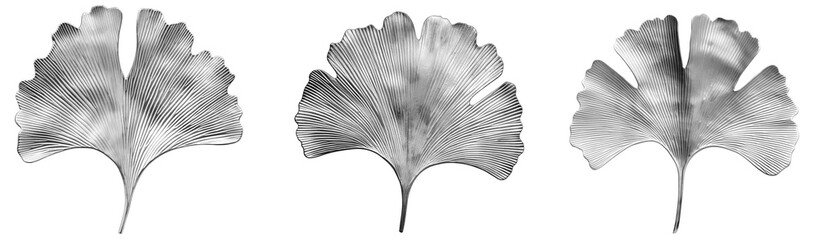 Set of silver gingko leaves
