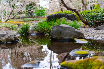 stream in the forest