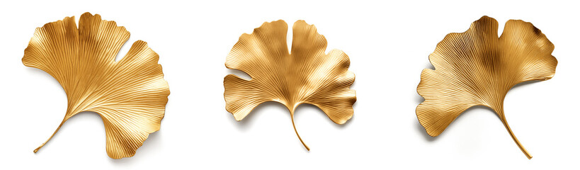 Set of gold gingko leaves with shadow isolated on white background