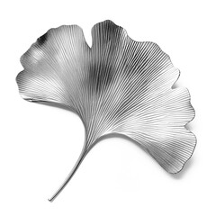 Silver gingko leaf with shadow isolated on white background