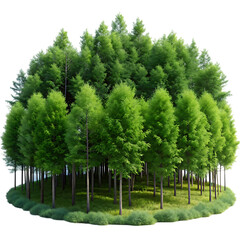 realistic tree transparent set with isolated images of single trees with foliage green leaves