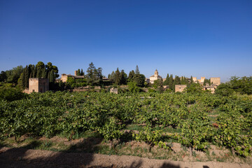 Alhambra, Generalife and Albayzin (Generalife y Albaicín de Granada), UNESCO site, Granada,...