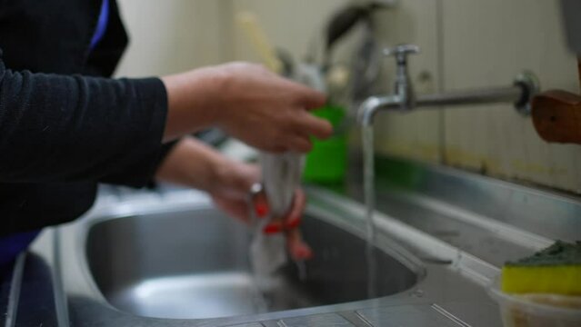 Close-up of South American woman hands washing dishcloth by kitchen sink engaged in daily domestic everyday activity, pressing water